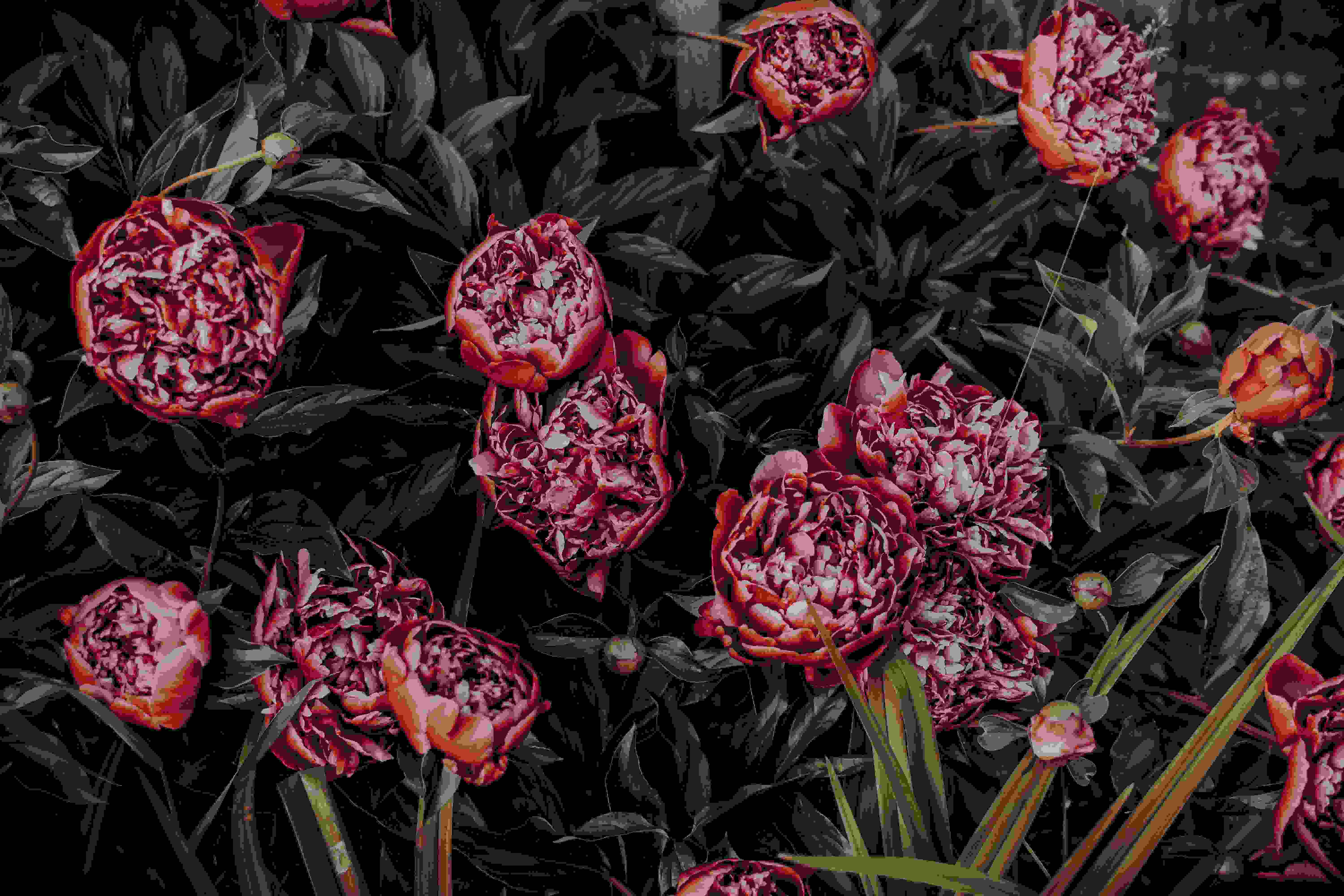 Sadorra Floral Designs