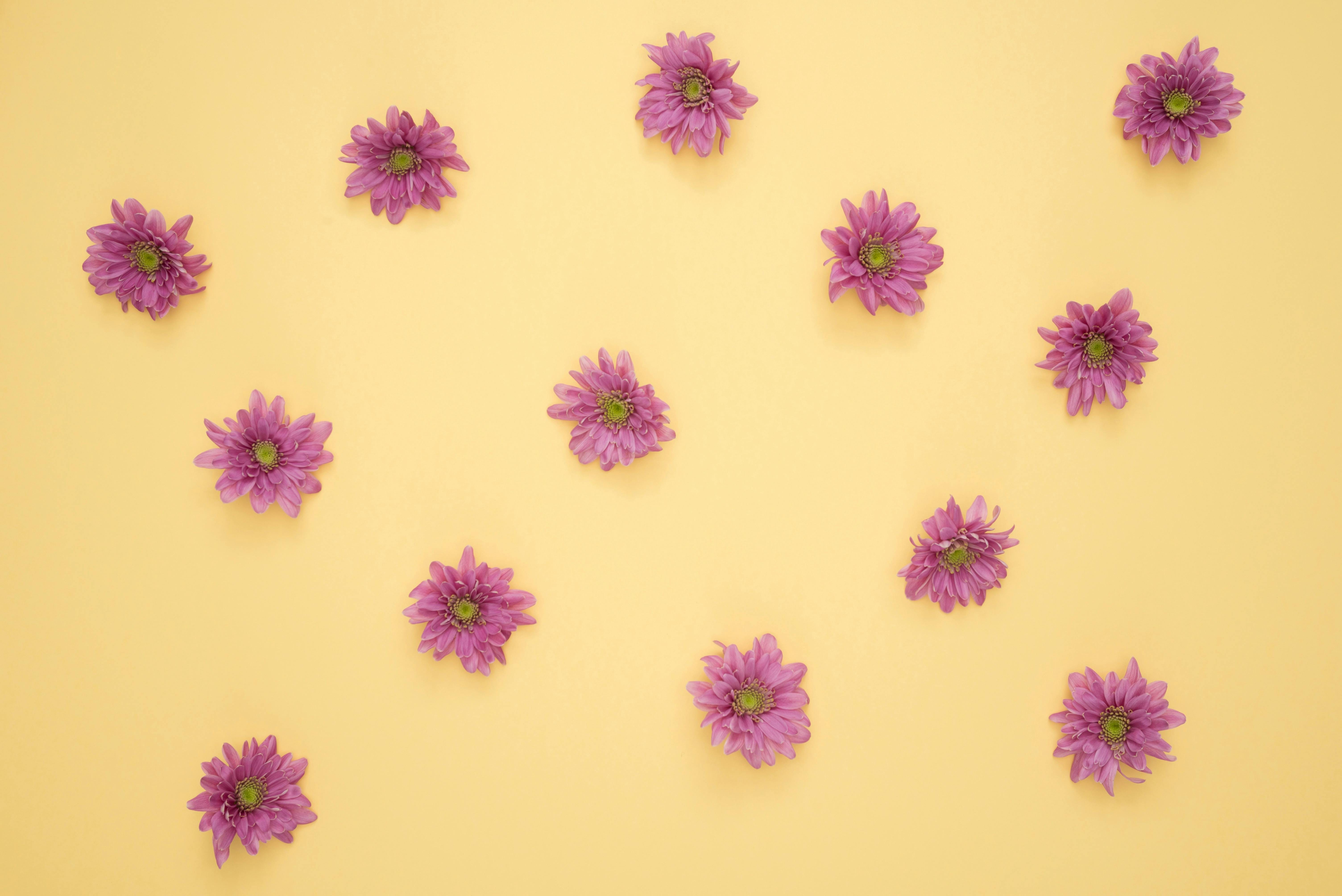 Flowers At Will
