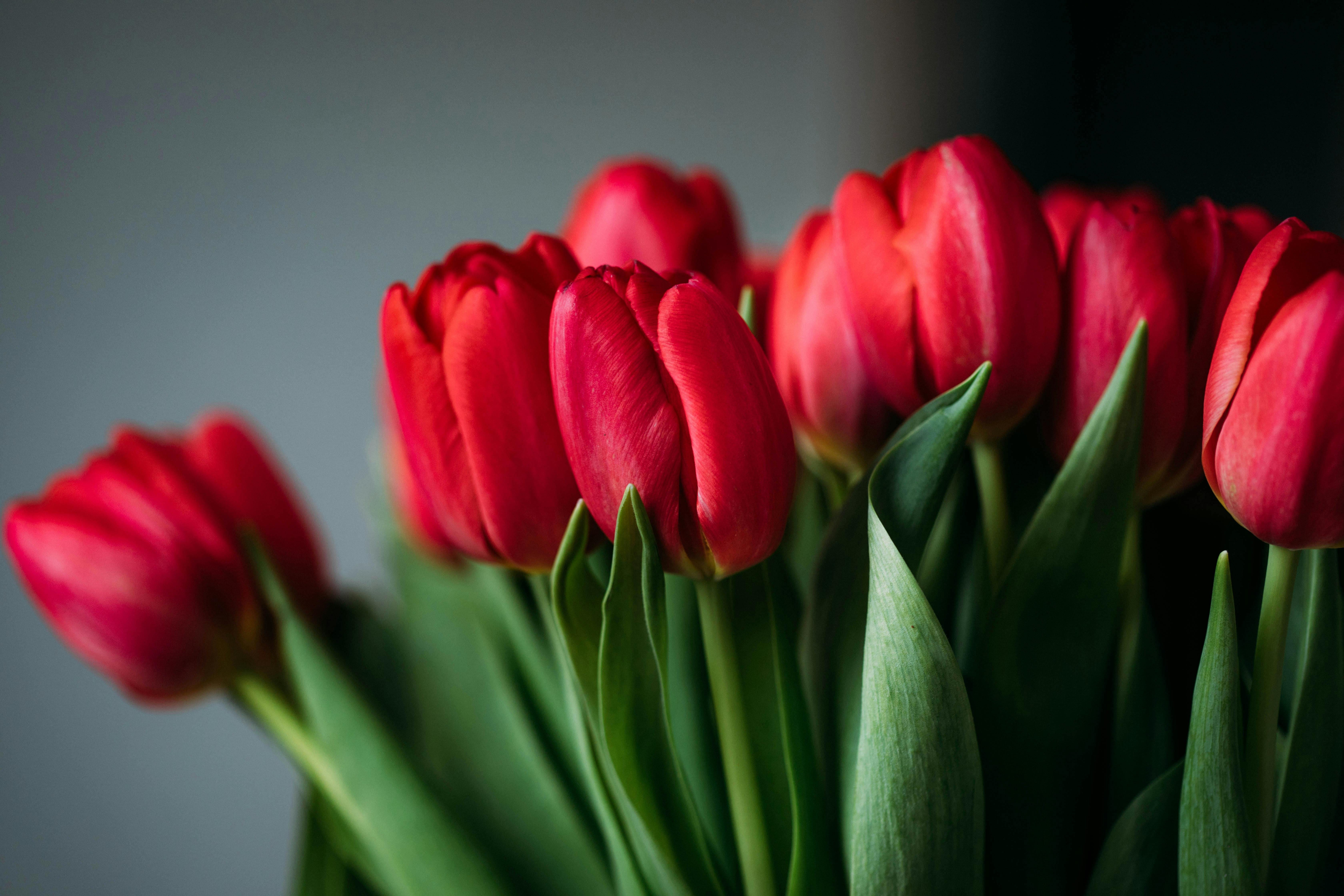 Sparks Florist