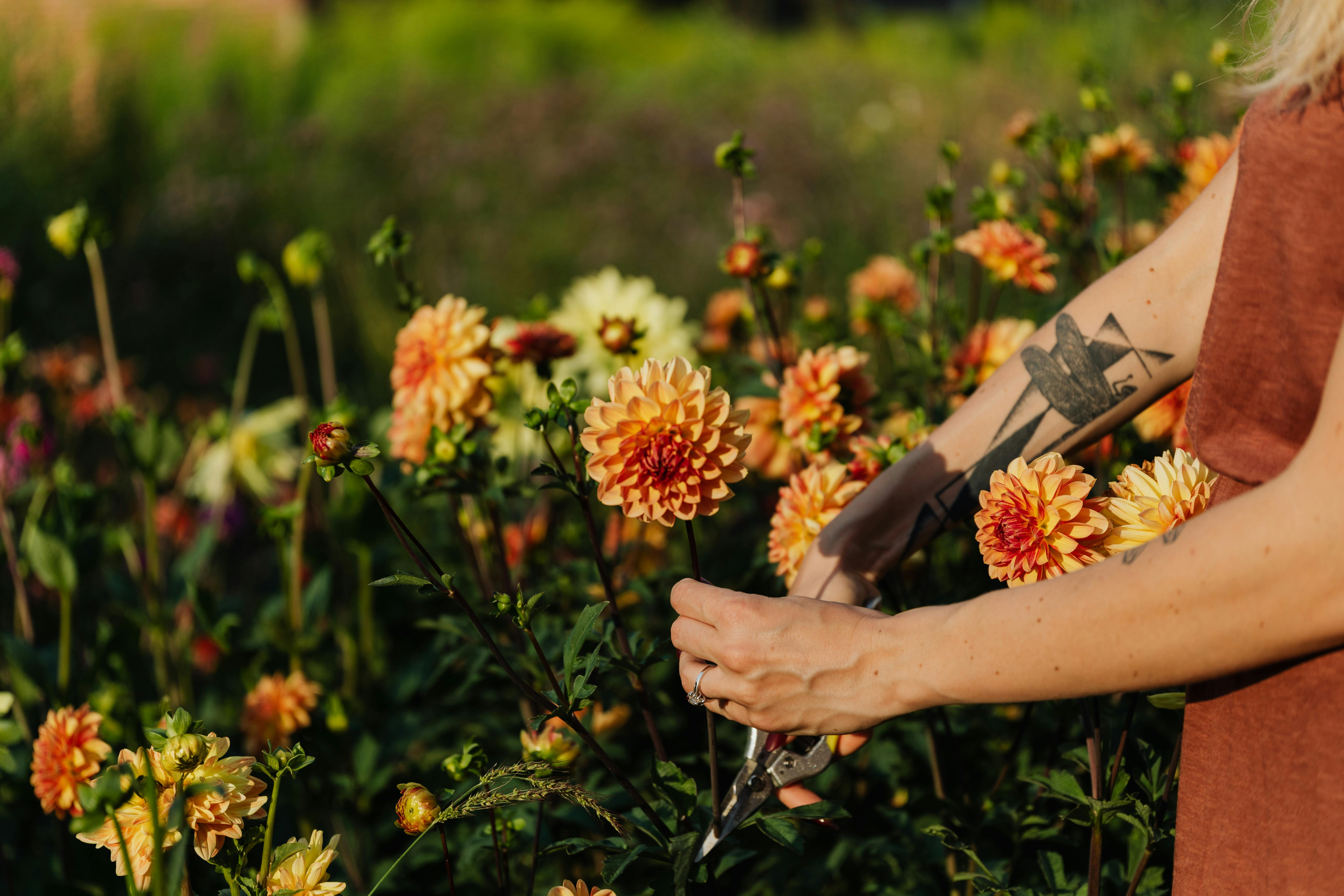 Jnj Floral