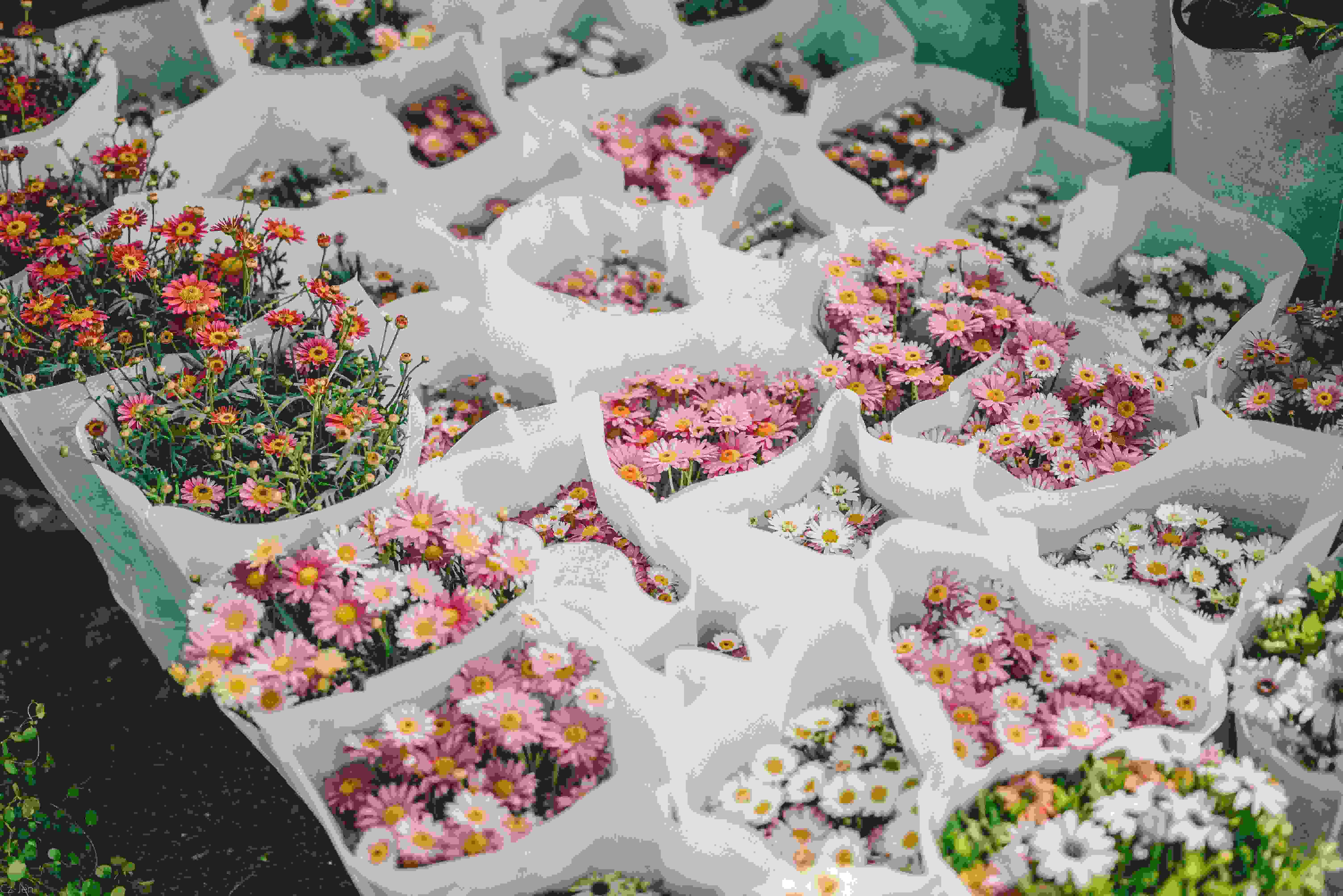S & R Flowers