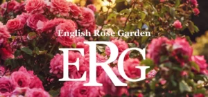 Rose English Garden