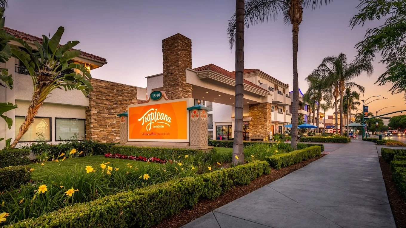 Budget-Friendly Wedding Venue in California