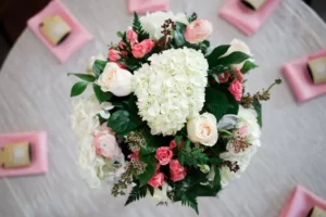 Alamo Plants & Petals