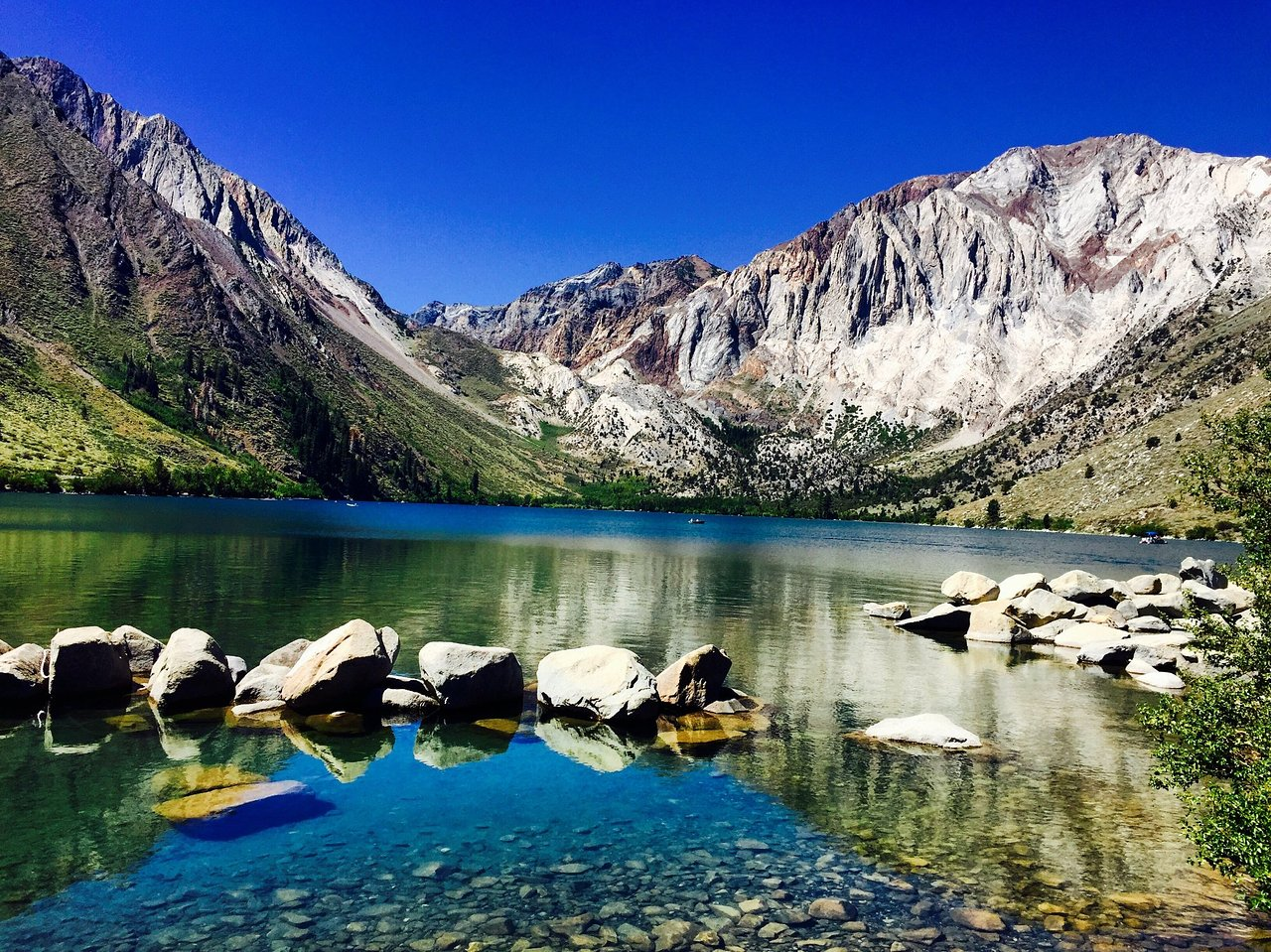 Mammoth