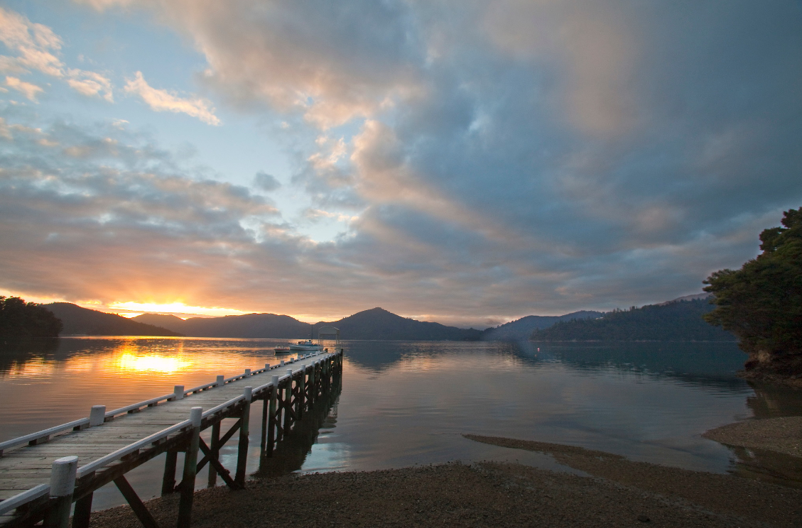 Forster Photography