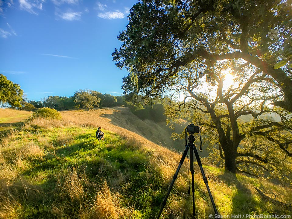 Saxon Holt Photography