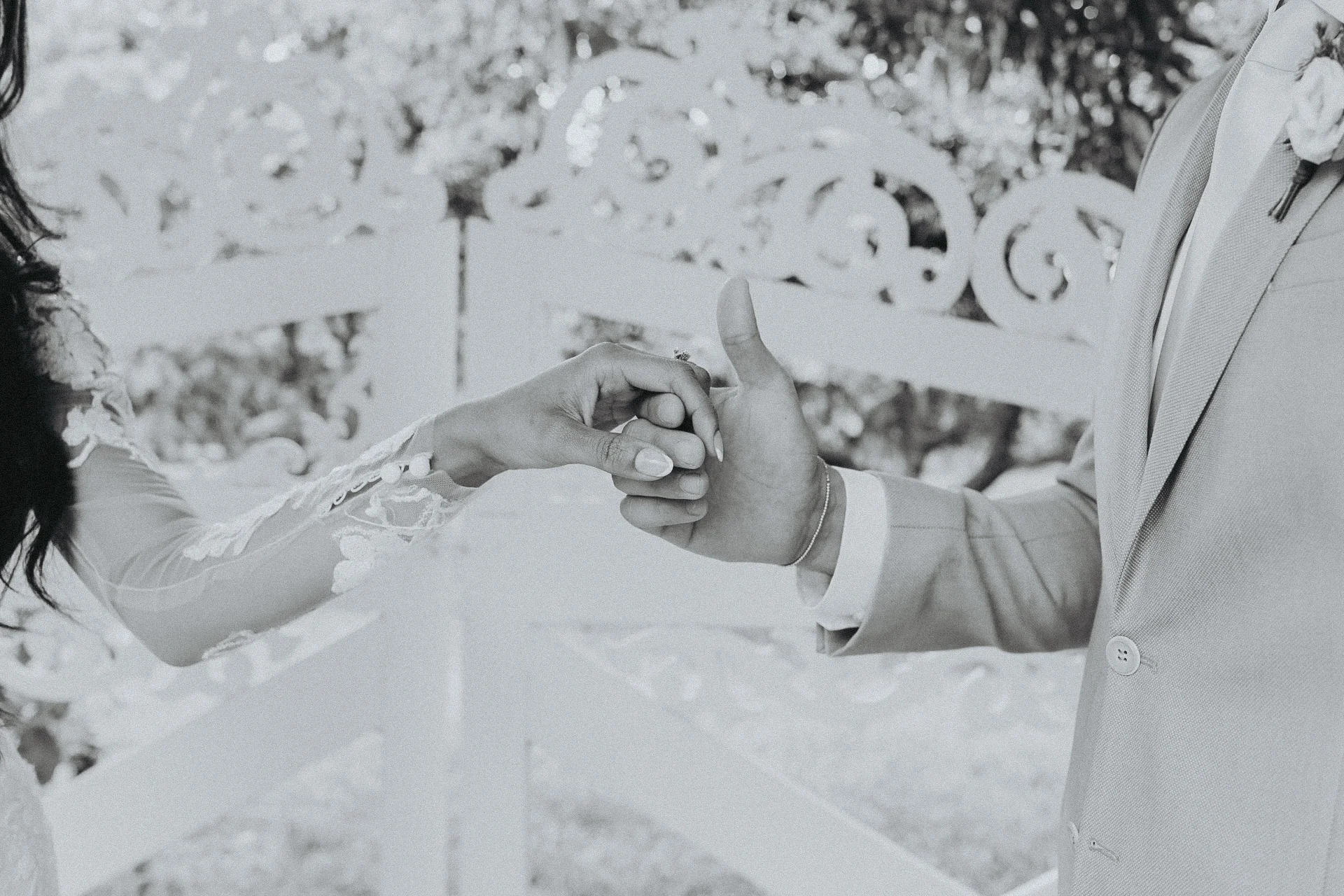 Scavone Photography