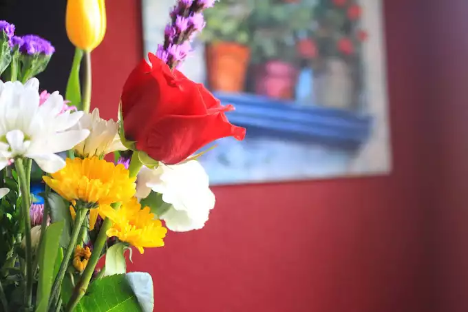 Jockish Flowers
