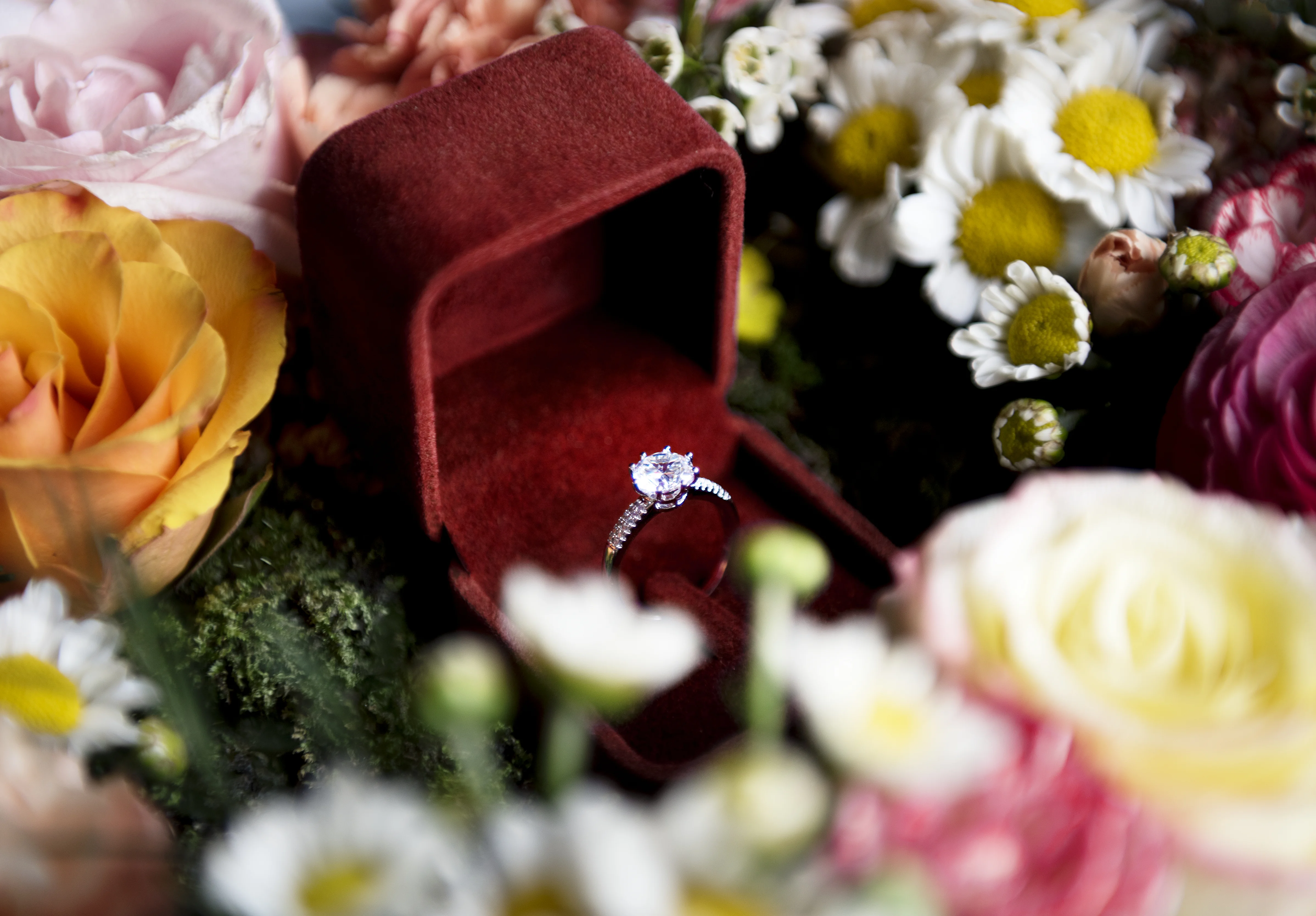 Different types of wedding rings displayed on velvet