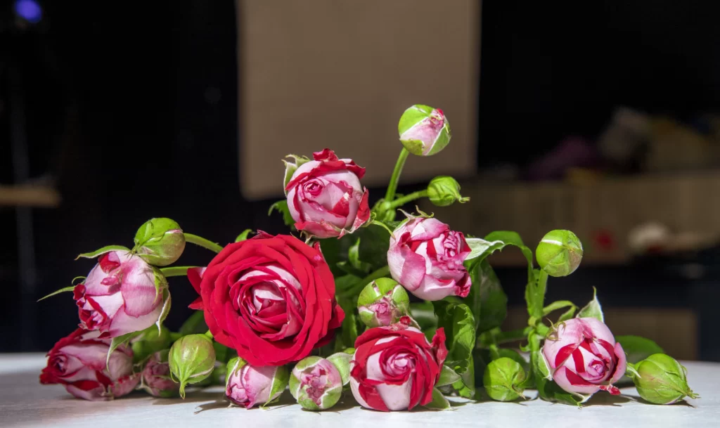 Stunning Decor Ideas for a Color-Themed Party